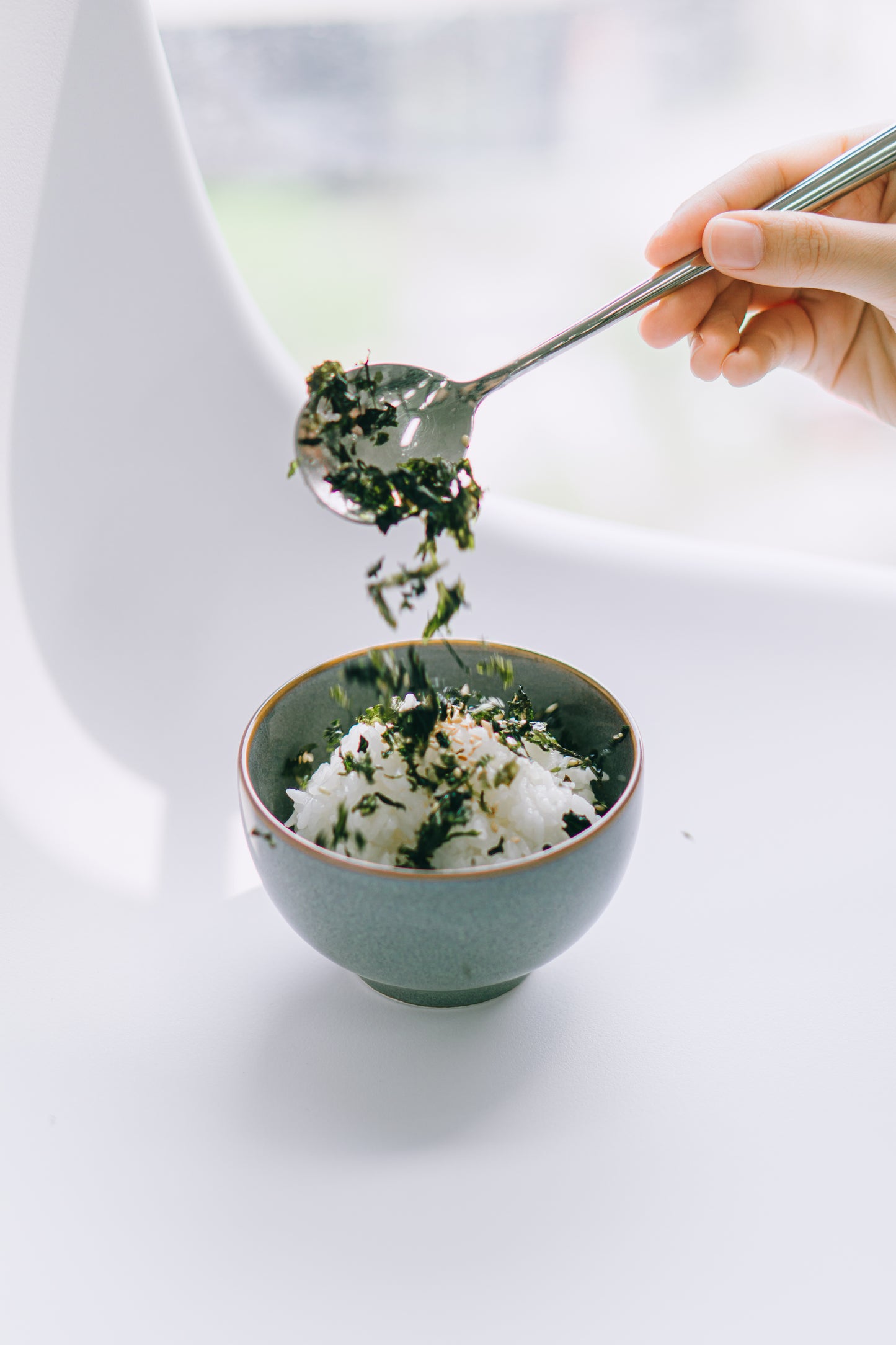 Seasoned Seaweed Flakes